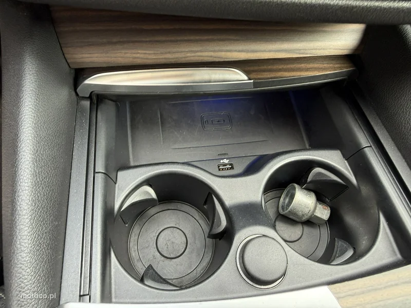 BMW Seria 5 G30 525 29