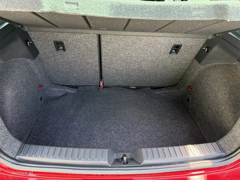 Seat Ibiza 25