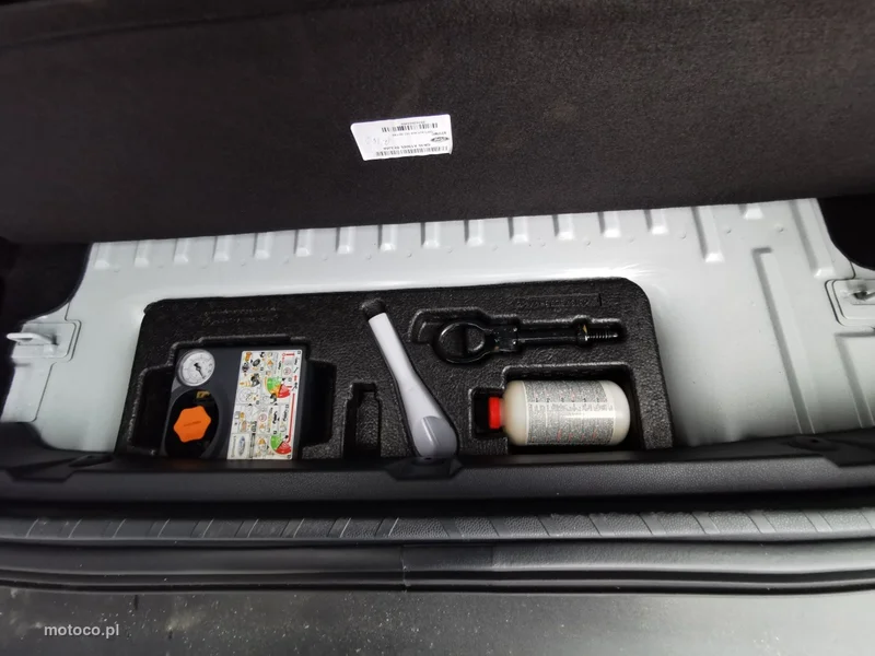 Ford EcoSport 38