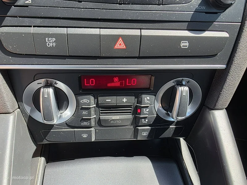 Audi A3 8P 15