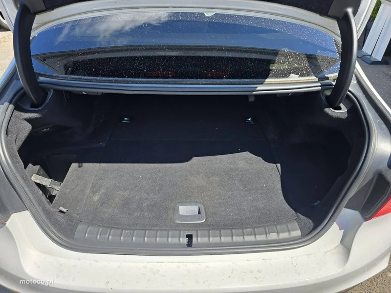 BMW Seria 5 G30 530 29