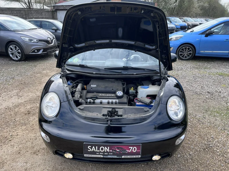 Volkswagen New Beetle 19