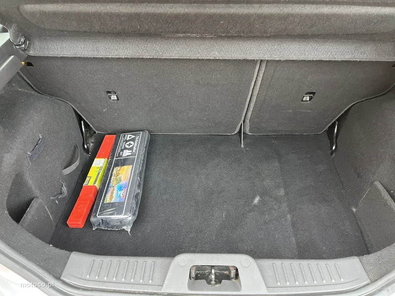 Ford Fiesta VI 20