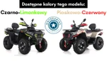 Widok 12