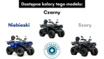 Widok 49