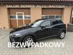 Widok 1