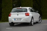 Widok 15