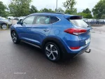 Widok 38