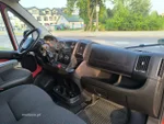 Widok 19