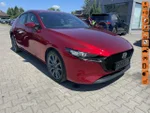Widok 1