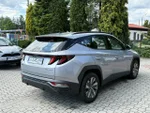 Widok 6