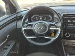 View 30