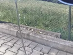 Widok 29