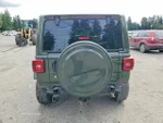 Widok 6