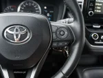 Widok 14