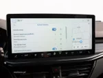 Widok 19