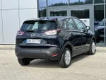 View 7
