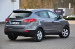 Widok 10