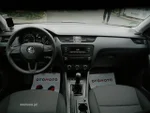 View 19