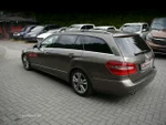 Widok 15
