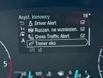 Widok 29