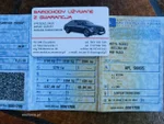 Widok 33