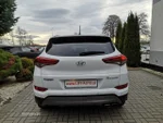 Widok 7