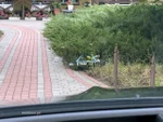 Widok 55