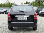 Widok 10
