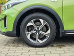 Widok 11