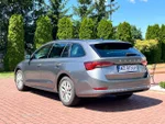 Widok 17