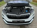Widok 10