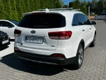 Widok 5