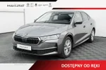 Widok 1