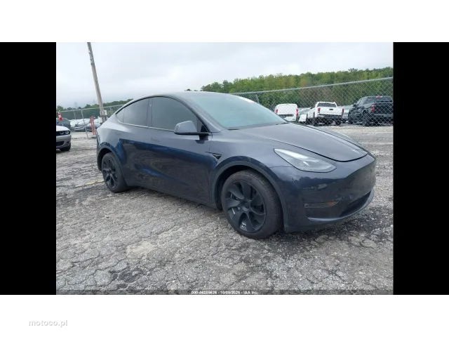 Tesla Y