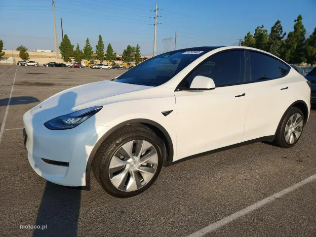 Tesla Y